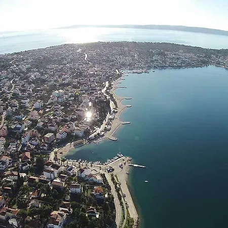 쿠즈메니치 * 트로기르